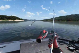 Real VR Fishing